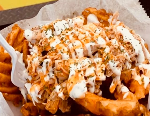 Pulled Chicken Over Waffle Fries.
